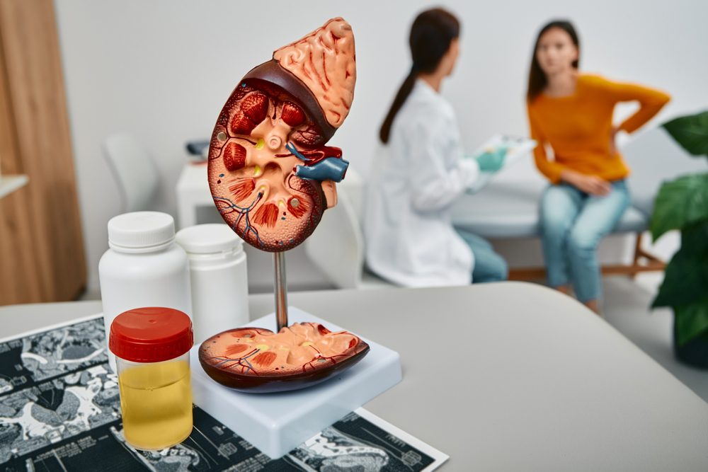 Kidneys