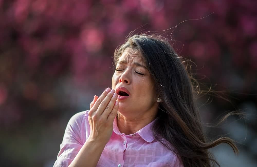 antihistamines might not be working
