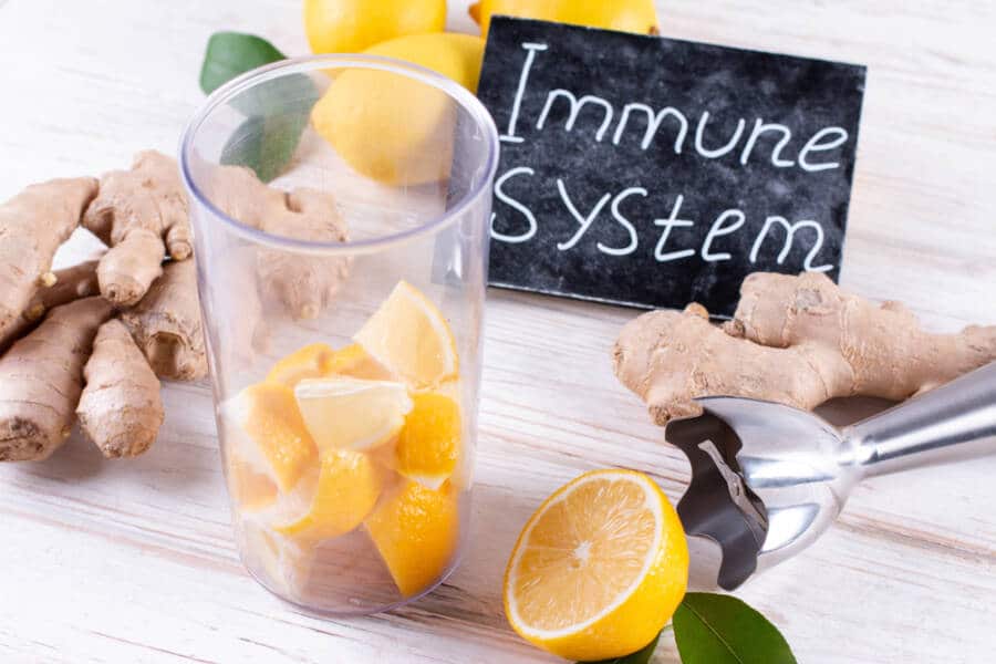 fall immunity boost