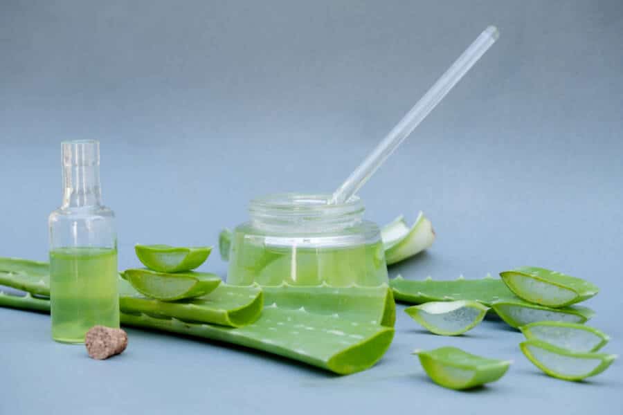 aloe vera 