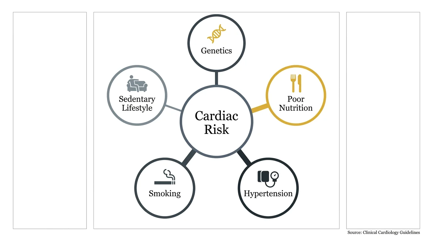 A diagram connecting risk factors like smoking and nutrition to central cardiac risk.