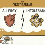 An editorial illustration showing a person at a table with a split thought bubble comparing an 'Allergy' shield to an 'Intolerance' gear.