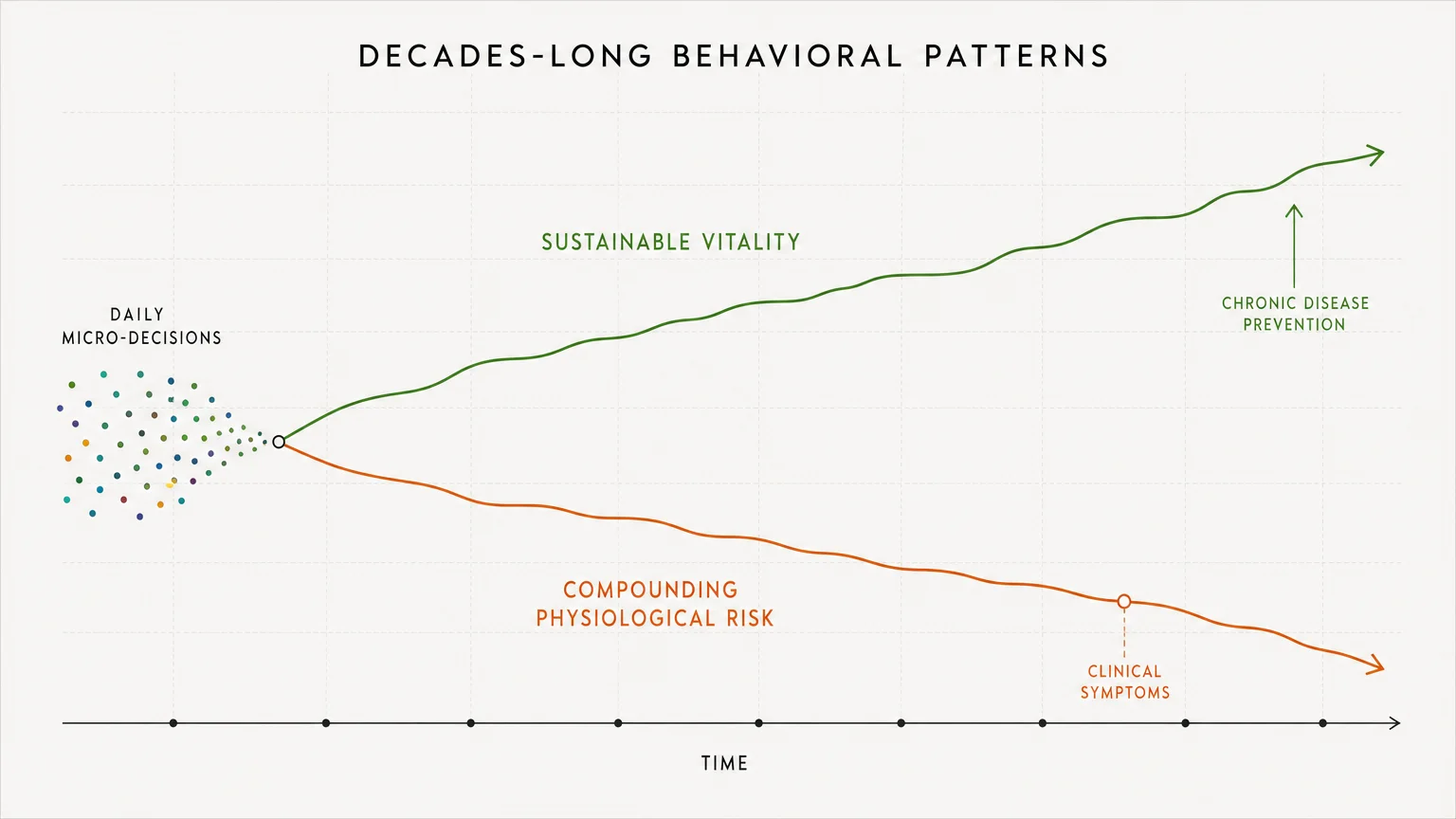 A clean diagram showing how daily micro-decisions lead to either sustainable vitality or compounding physiological risk over time.
