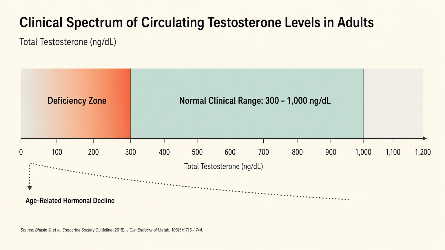 A minimalist clinical diagram showing the normal testosterone range of 300 to 1,000 ng/dL on a clean, horizontal axis.