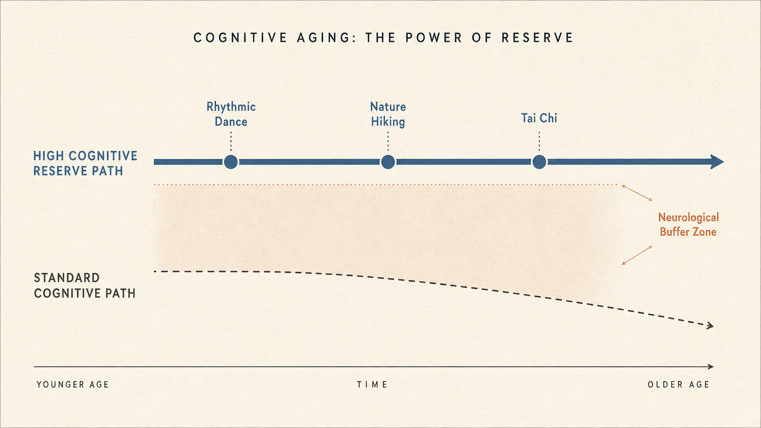 Minimalist diagram comparing a stable High Cognitive Reserve Path with a declining Standard Cognitive Path.