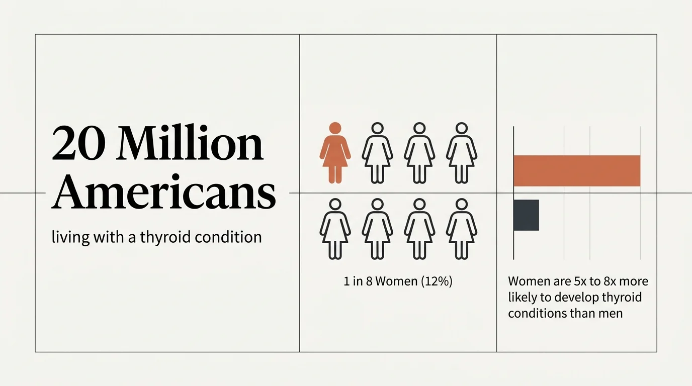 A clean editorial infographic illustrating that 20 million Americans have thyroid conditions and women are 5 to 8 times more likely to be af