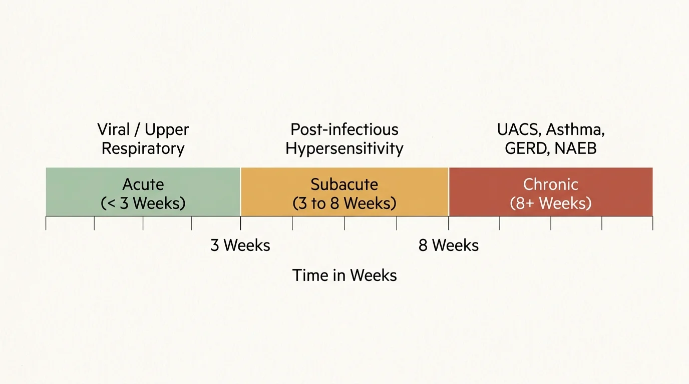 A timeline diagram showing the three stages of cough duration: Acute under 3 weeks, Subacute from 3 to 8 weeks, and Chronic over 8 weeks.