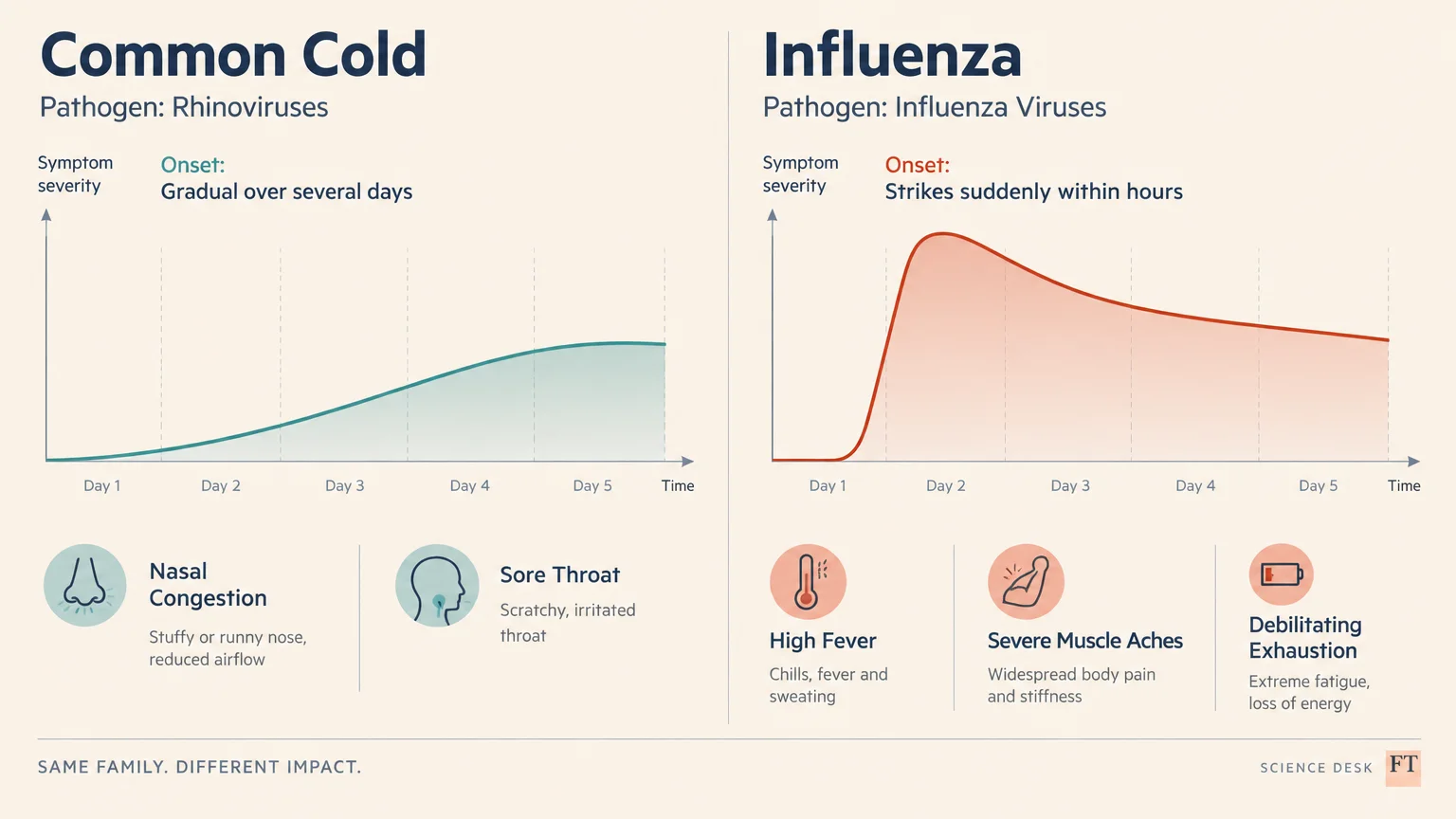 Side-by-side graphs comparing gradual symptom onset for the common cold against a rapid spike in severity for influenza.