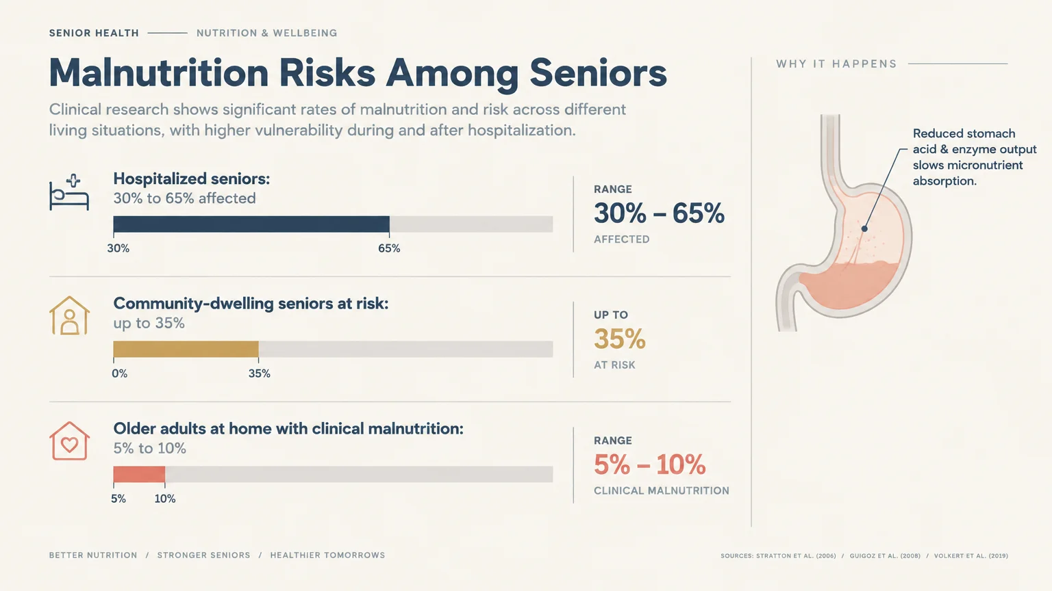 Infographic showing malnutrition risk statistics for seniors alongside a diagram of a stomach illustrating reduced acid output.