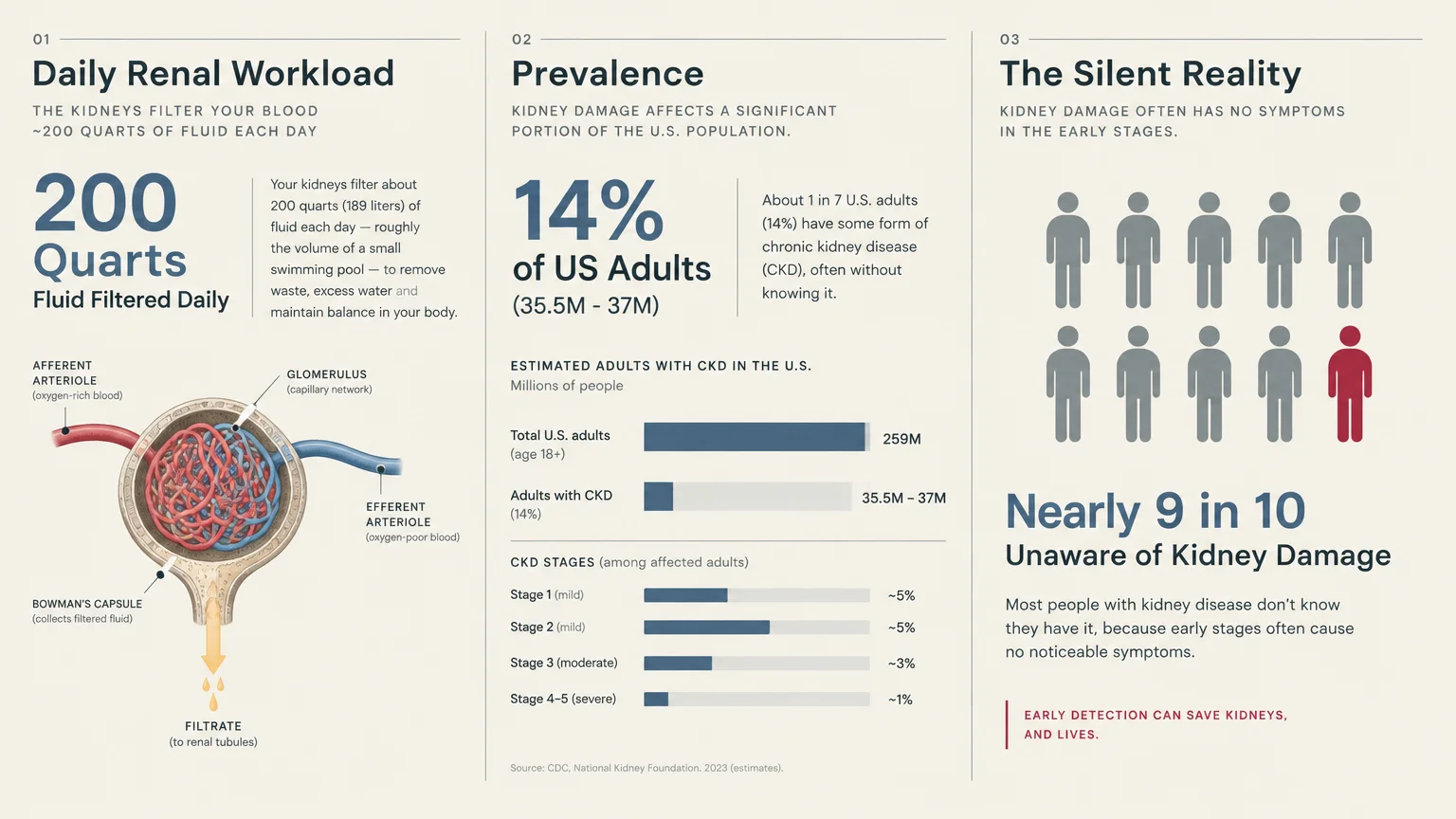 Infographic showing daily renal workload, chronic kidney disease prevalence charts, and an icon array of 9 in 10 unaware adults.