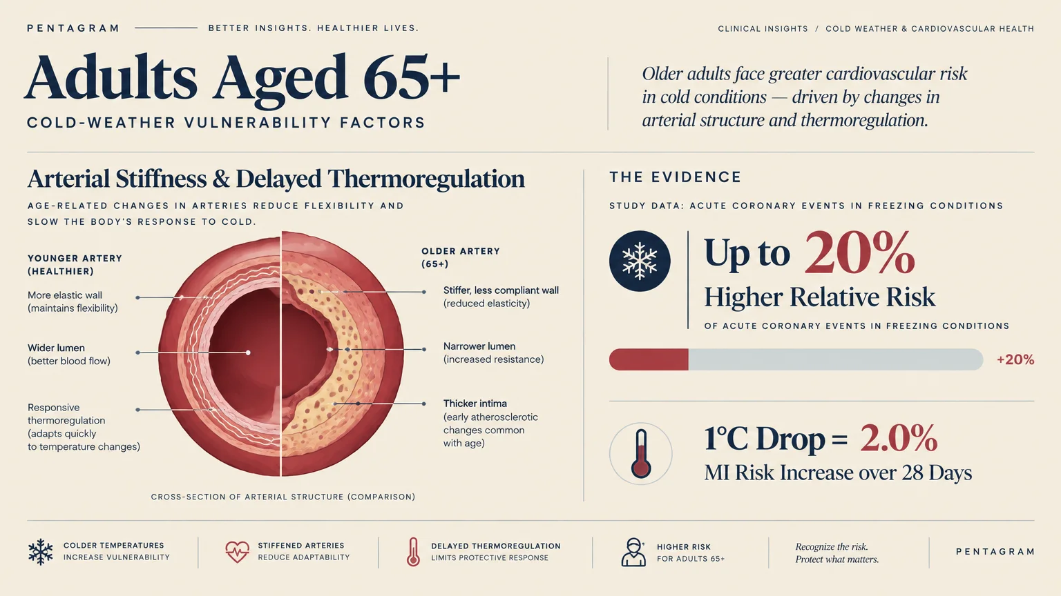 Medical diagram comparing young and older arterial cross-sections alongside statistics on cardiovascular risk in freezing cold.