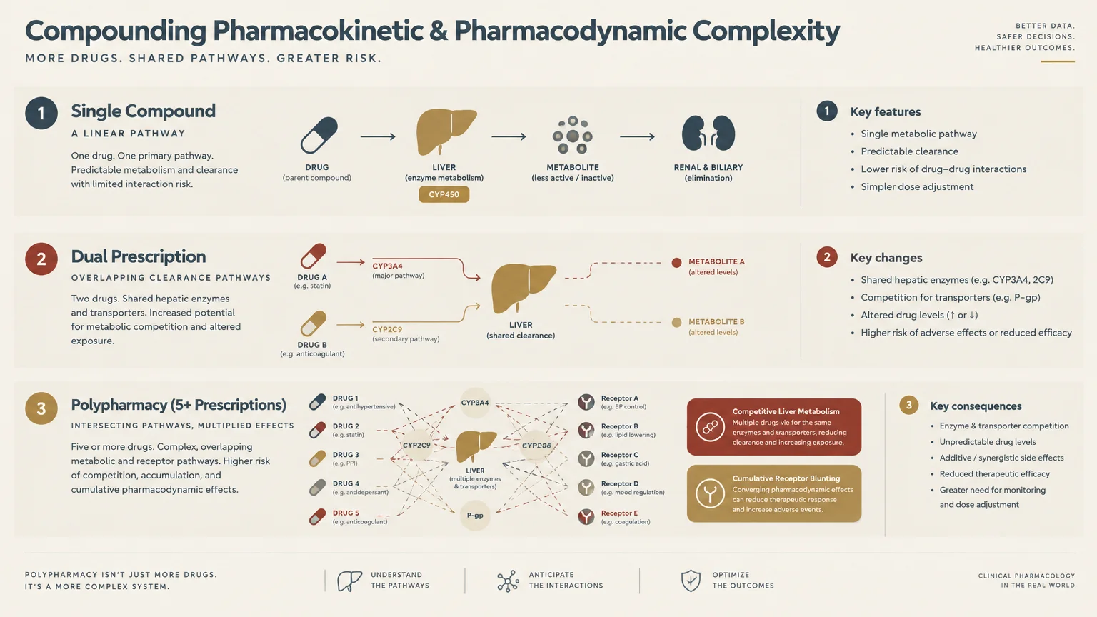 Diagram comparing drug metabolism across single compound, dual prescription, and polypharmacy regimens through the liver.